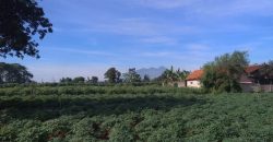 Tanah dijual di-kota Bogor