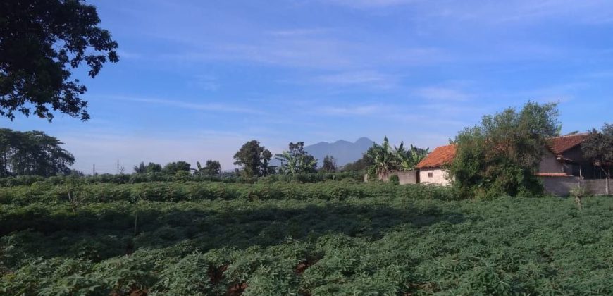 Tanah dijual di-kota Bogor