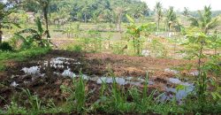 Tanah Sawah Sukamulya Cianjur