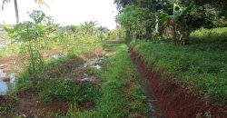 Tanah Sawah Sukamulya Cianjur