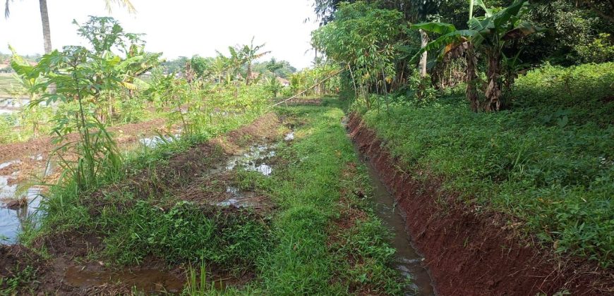 Tanah Sawah Sukamulya Cianjur