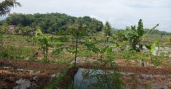 Tanah Sawah Sukamulya Cianjur