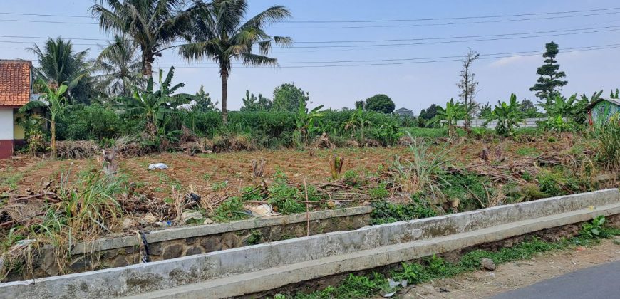 Tanah Kelurahan Kencana Bogor