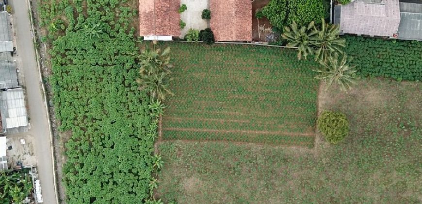 Tanah Kelurahan Kencana Bogor